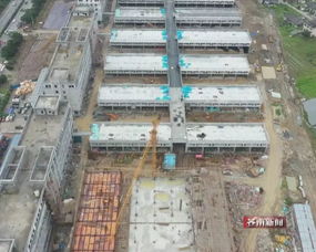 浙闽台水产城扩建开放在即 九月迎客之际水电安装进入攻坚阶段